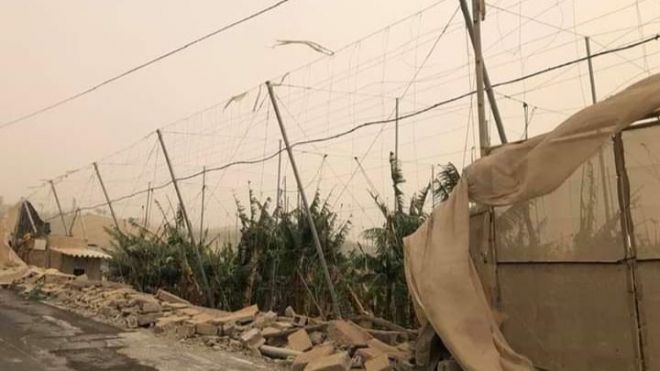 Josefa Mesa pide que se declare “zona catastrófica” para paliar los daños del sector primario