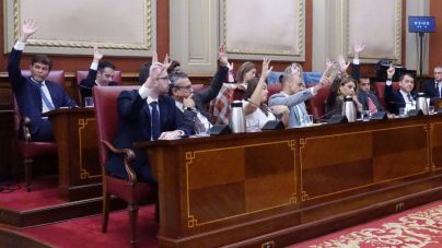 El Ayuntamiento condena la participación ciudadana y frena la creación del Consejo del Voluntariado”