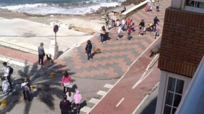 CC-PNC lamenta las improvisaciones del Gobierno de Canarias