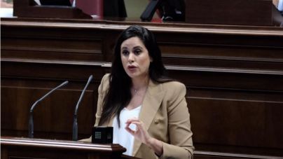 Espino exige al Gobierno canario “algo más que corregir los defectos formales de un decreto”