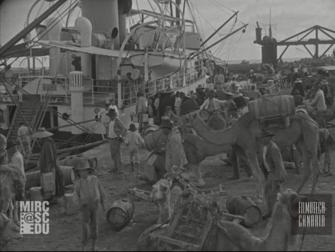 Filmoteca Canaria rescata en Estados Unidos películas de las islas filmadas por la Fox en 1925