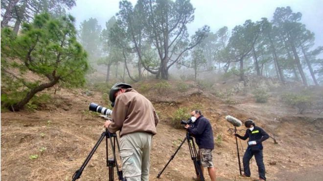 La Palma recupera de la mano de Sodepal los rodajes con un documental y dos campañas de publicidad
