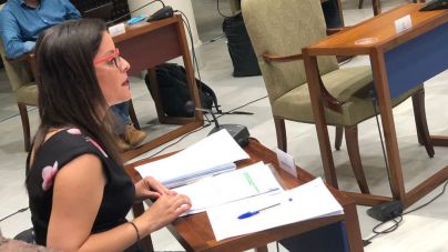 Canarias desarrollará en seis meses la Estrategia de Desarrollo Industrial para 2021-2025
