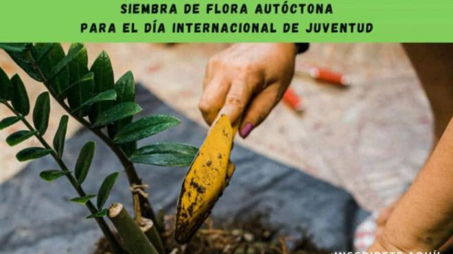 La Palma celebra el Día Mundial de la Juventud animando a “coger la guataca”
