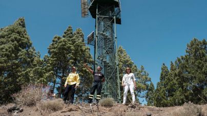 El 75% de la superficie de Gran Canaria que arrasó el fuego se ha recuperado