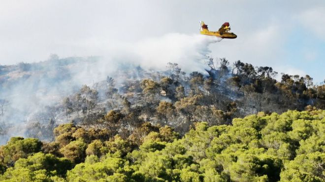 Dan por estabilizado el incendio forestal de Garafía en La Palma