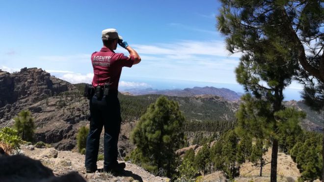 El Cabildo recibe medio centenar de llamadas por daños e invasión de propiedades el primer día de cacería con escopeta en Gran Canaria