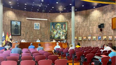 El Cabildo pide modificar la Ley de Caza para incluir los animales asilvestrados como especie cinegética