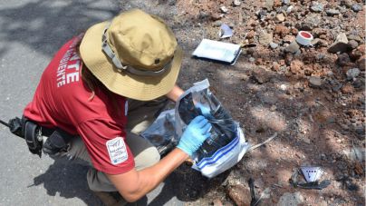 La Gomera intensifica los trabajos de inspección de los tendidos eléctricos para evitar riesgos a la avifauna