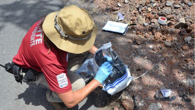 La Gomera intensifica los trabajos de inspección de los tendidos eléctricos para evitar riesgos a la avifauna