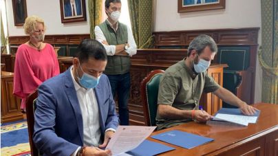 Cinco clínicas veterinarias de Telde colaboran para controlar las colonias de gatos en la ciudad