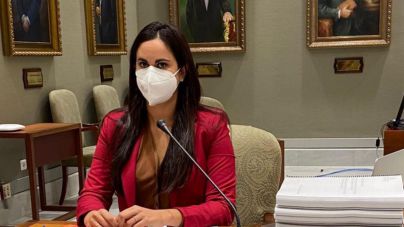 Cs considera una afrenta a las familias que peor lo están pasando que el Gobierno canario se suba el sueldo
