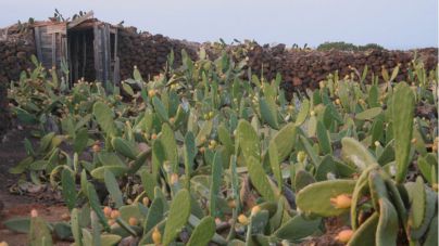 La Muestra de Cine seguirá el camino de la recuperación de diferentes crisis en la historia de Lanzarote