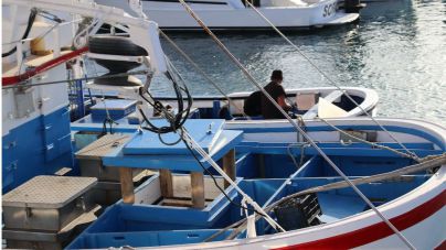 El Gobierno canario solicita un tratamiento diferenciado en el reglamento del Fondo Europeo Marítimo y de Pesca