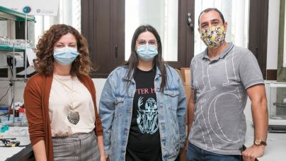 La ULL patenta una fibra de nitinol con redes cristalinas para extraer contaminantes presentes en líquidos