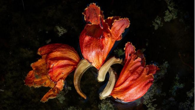 El Jardín Botánico entrega los premios de fotografía ‘Apúntate al JAO’ que promocionan su patrimonio natural