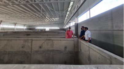 Uso de los fondos europeos para incentivar la actividad acuicultora en Canarias