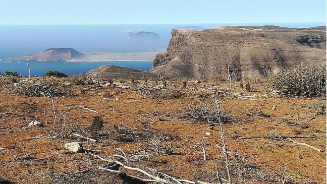 Transición Ecológica inicia la toma de muestras del suelo para la restauración de hábitat en Famara