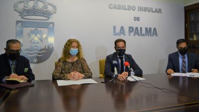 El estudio del impacto socioeconómico de la COVID-19 en La Palma sitúa a la isla como una de las menos afectadas de la Provincia por la crisis