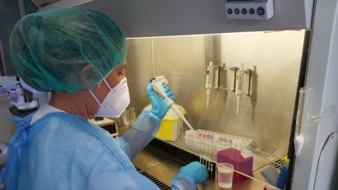 Sanidad notifica 193 casos de COVID-19 en las últimas 24 horas