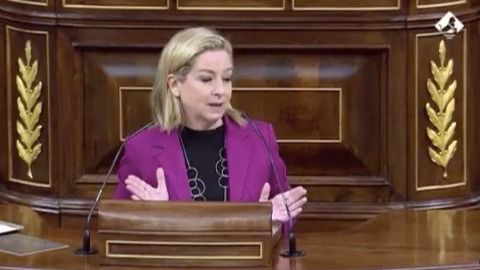 Oramas advierte que el Brexit obliga a multiplicar recursos en el control de fronteras en Canarias
