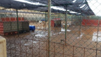 CC-PNC denuncia nuevas inundaciones en el refugio de Tierra Blanca ante la pasividad del Psoe