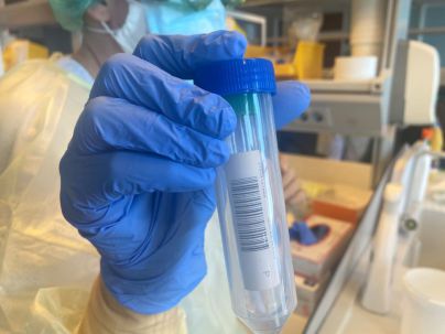 Sanidad constata 234 casos de COVID-19 en las últimas 24 horas