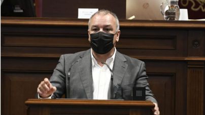 Campos invita al Parlamento a apoyar la enmienda de NC en el Congreso para proteger al plátano de Canarias