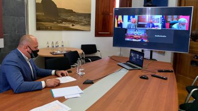 Lloret participa telemáticamente en la comisión de Estudio sobre la insularidad en el Senado