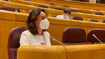 El PSOE consigue el apoyo mayoritario del Senado para impulsar un nuevo bono social de acceso a internet de banda ancha