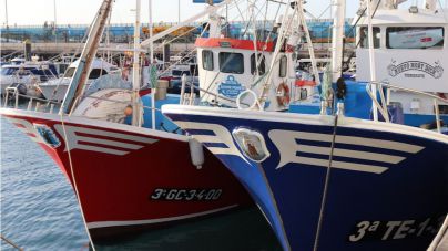 Cierre de la pesquería de tuna para la flota canaria artesanal