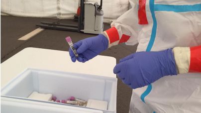 Sanidad notifica 239 casos de COVID-19 en las últimas 24 horas