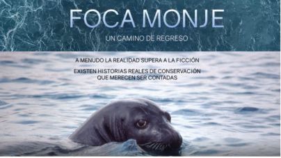 Innoceana lanza un crowdfunding para salvar a la foca monje