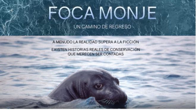 Innoceana lanza un crowdfunding para salvar a la foca monje