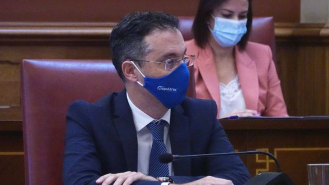 Santa Cruz adjudica la esterilización y la asistencia veterinaria de las colonias de gatos