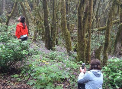 La prensa alemana elige La Gomera como destino turístico preferente