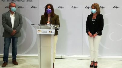 NC propone reforzar la Academia Canaria de la Lengua para defender y promover el habla canaria