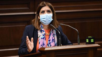 NC concita el apoyo de una amplia mayoría del pleno para promover el español hablado en Canarias