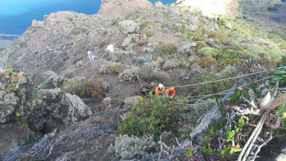 El Gobierno de Canarias recibe más de 4.600 alertas de especies exóticas a través de la app móvil RedEXOS