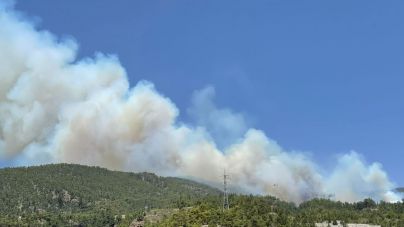 El Gobierno de Canarias declara el nivel 2 del INFOCA y asume la dirección del incendio forestal en Tenerife