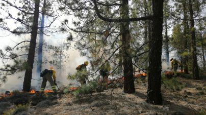 Estabilizado el incendio forestal de Arico