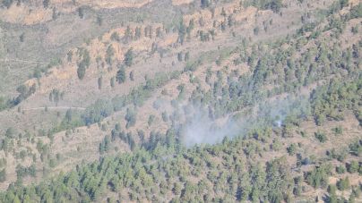 El Gobierno de Canarias declara controlado el incendio forestal de Arico, en Tenerife