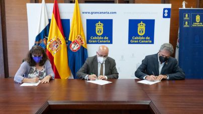 Cabildo y Colegio de Arquitectos acuerdan la creación de una bolsa de trabajo para realizar servicios para la entidad insular