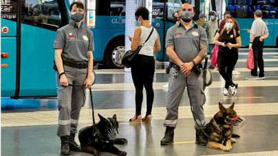 Nueva Unidad Canina de las Estaciones de Guaguas