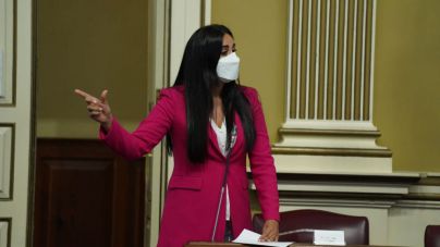 Espino afea a Torres que sean las ONG las que están salvando a los canarios que lo están pasando mal
