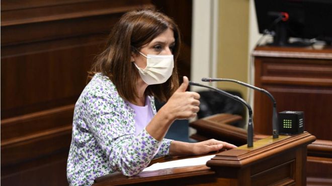 NC afirma que Canarias se sitúa en la senda de las sociedades más avanzadas en bienestar animal