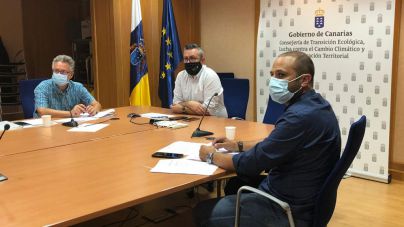 El Consejo Regional de Caza aprueba el calendario de veda y condena el ataque a tajinastes en La Palma