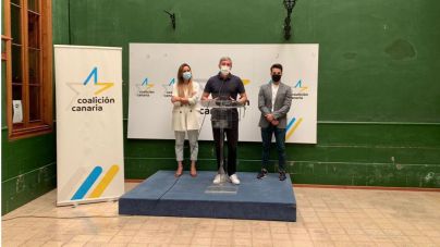 "El Gobierno está obligado a acudir al Constitucional si quiere defender a Canarias"
