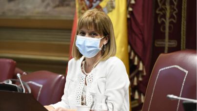 NC anuncia que el Parlamento por unanimidad propone crear la figura del recurso de inconstitucionalidad