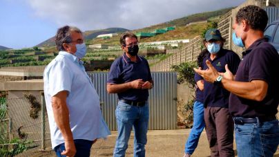 “El cultivo ecológico en La Palma es viable y factible, es el camino que tenemos que recorrer”